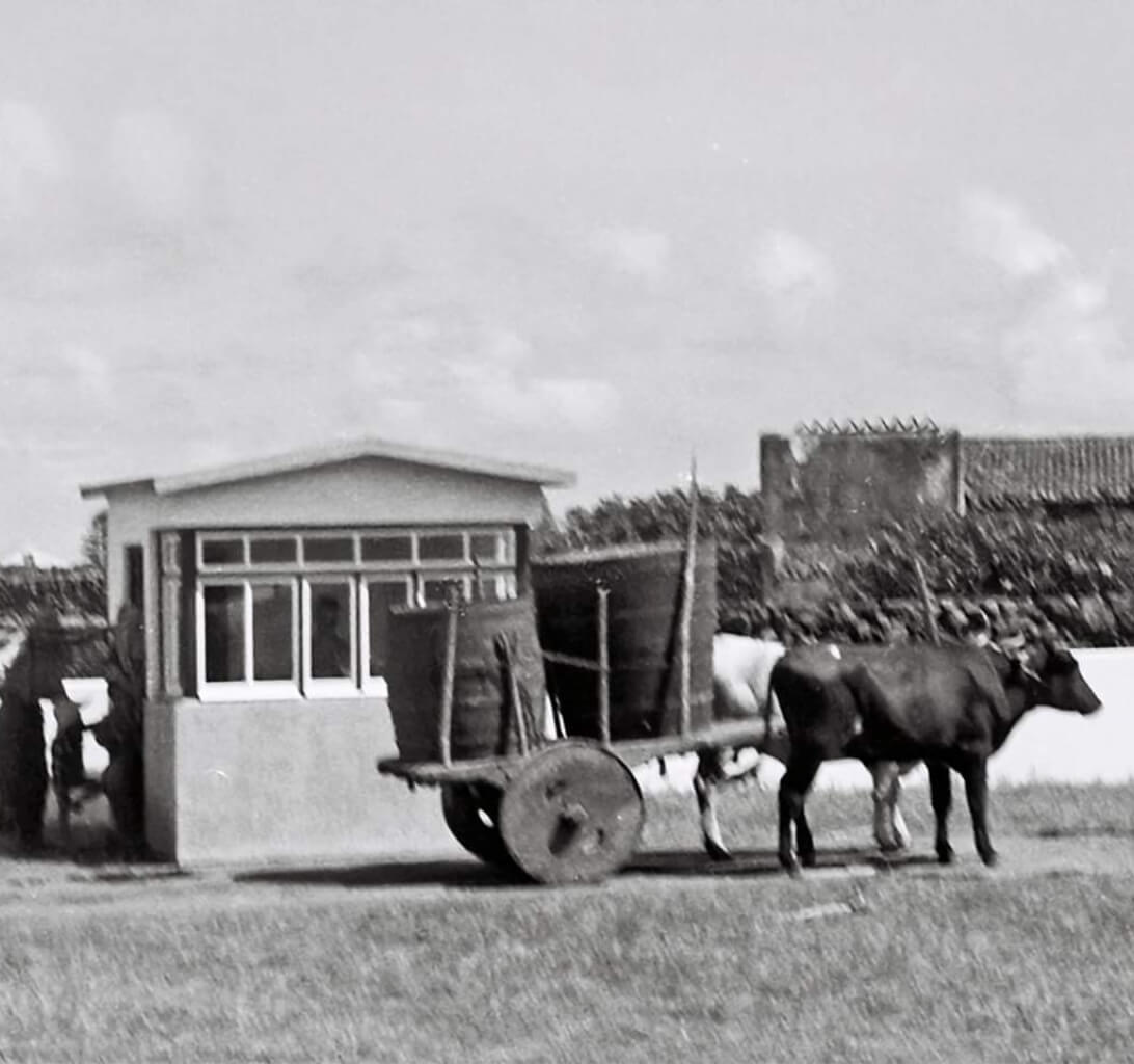 Bullock cart