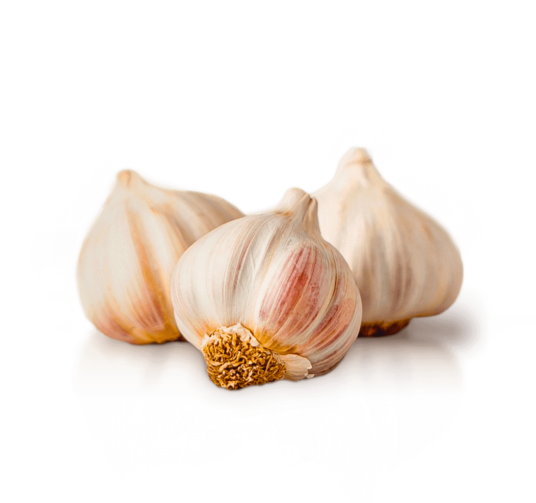 Graciosa’s garlic